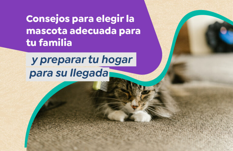 Consejos para elegir la mascota adecuada para tu familia y preparar tu hogar para su llegada