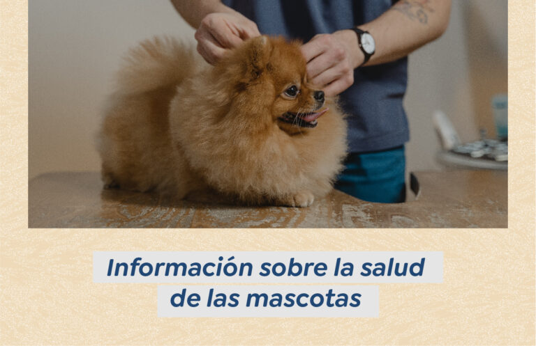 Información sobre la salud de las mascotas