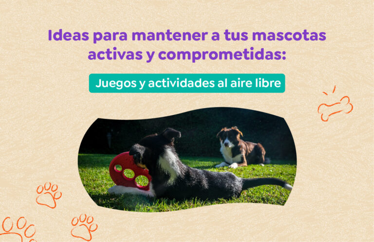 Ideas para mantener a tus mascotas activas y comprometidas: juegos y actividades al aire libre