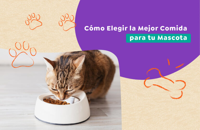 Cómo Elegir la Mejor Comida para tu Mascota