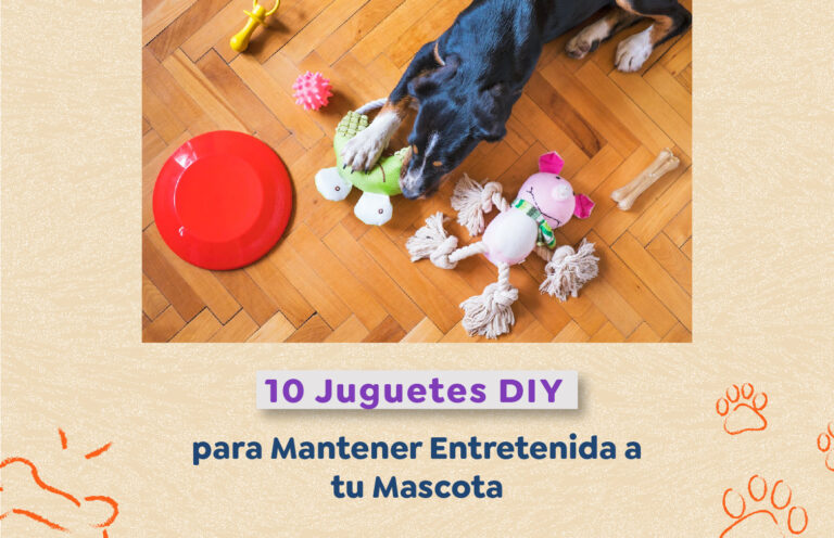 10 Juguetes DIY para Mantener Entretenida a tu Mascota